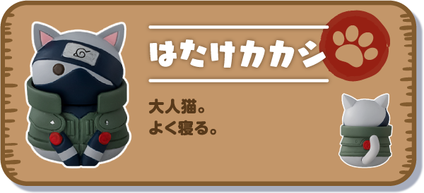 【はたけカカシ】大人猫。よく寝る。