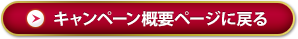 Return toキャンペーンoverview page