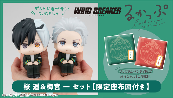 Lookup WIND BREAKER Sakura Haruka & Umemiya Ichi Set [Limited Edition Cushion Included]