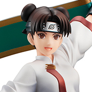MegaTore Shop has started taking pre-orders for the NARUTO GALS NARUTO SHIPPUDEN figure!