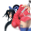 Sunday Heroine Selection I: Kenichi: The Mightiest Disciple - Shigure Kosaka