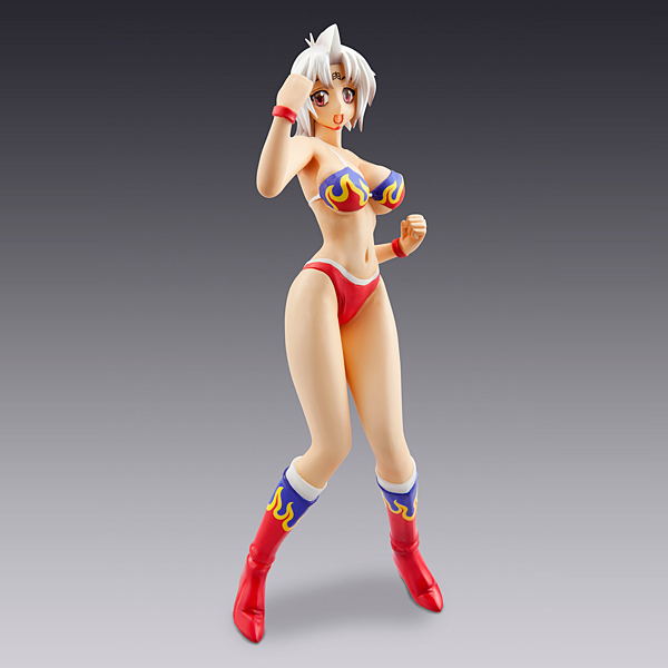 Kinnikuman Lady Series ① Kinnikuman Lady