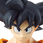 Dimension of DRAGON BALL SON GOKU