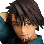 Palmate Extra Series TIGER & BUNNY KOTETSU T.KABURAGI