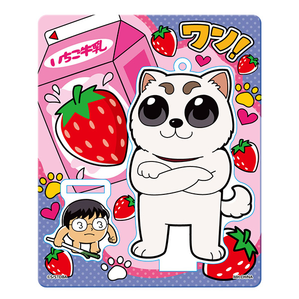 サムネイル画像10