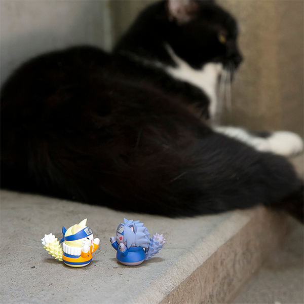 サムネイル画像14