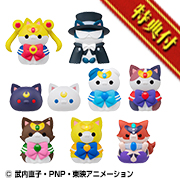 Pretty Guardian Sailor Moon Moon Senya Moon: In the name of the moon, I will punish you, meow! [Bonus: Comes with a cute canned food item]