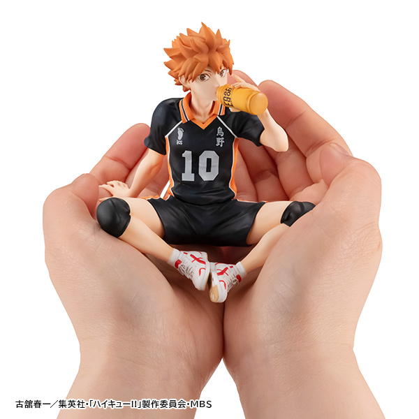 Haikyu!!!! Hinata Shoyo in the Palm of Your Hand