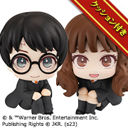 Harry Potter & Hermione Granger Set [Limited Edition Cushion Included]