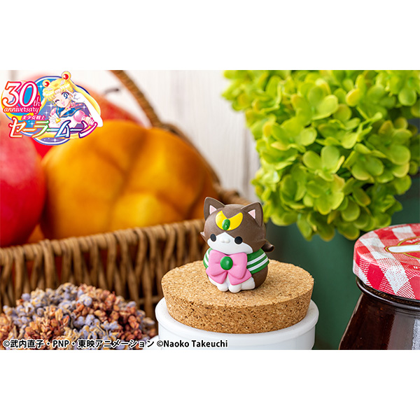 サムネイル画像13