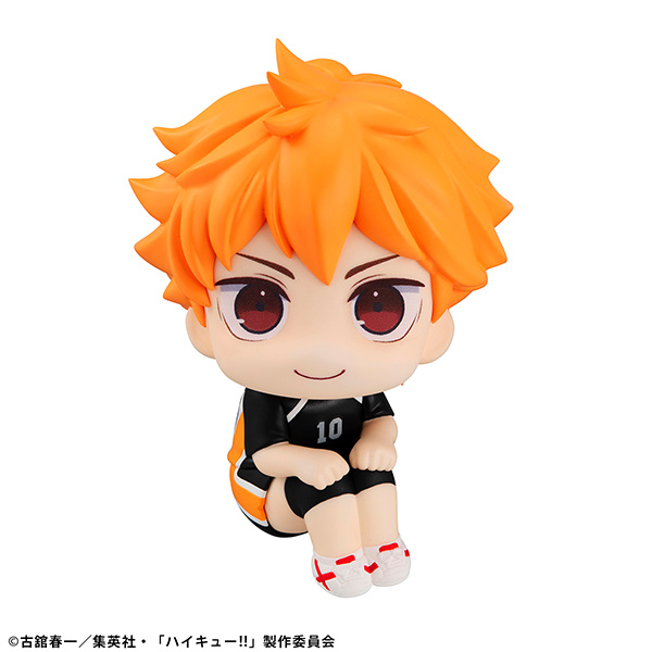 Haikyuu!! Hinata Shoyo Form Ver.