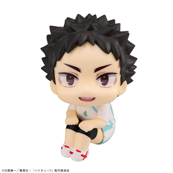 Haikyuu!! Iwaizumi Hajime Form Ver.