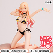 The Dress-Up Doll Falls in Love: Tenohira Marin-chan