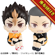 Haikyu!!!! Nishinoya Yu/Tanaka Ryunosuke Form Ver. Set [Limited Edition Cushion Included]