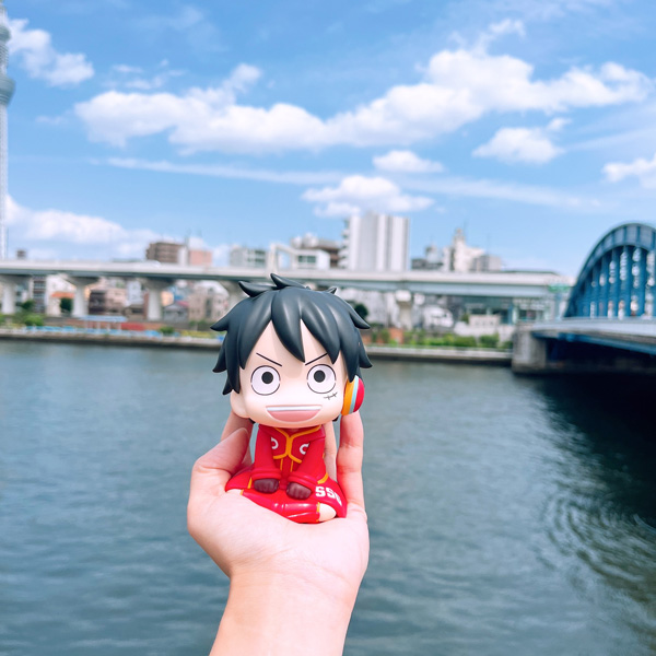 サムネイル画像15