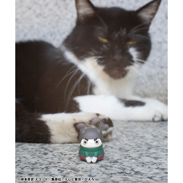 サムネイル画像15