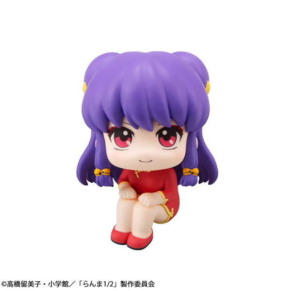 TV anime "Ranma 1/2" Shampoo