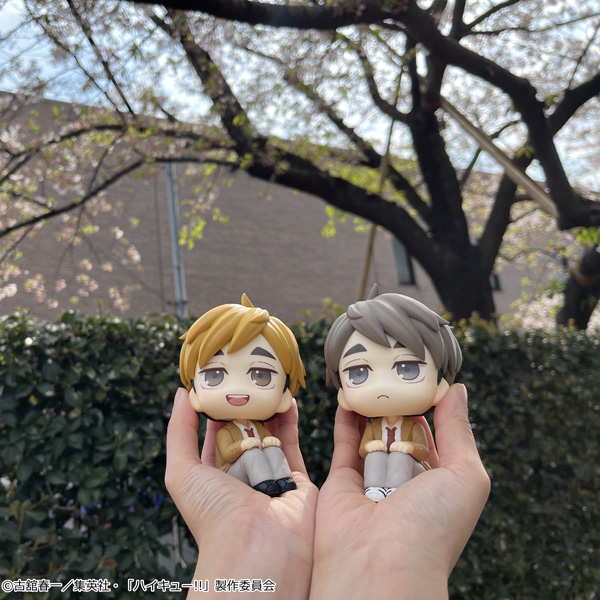 サムネイル画像13