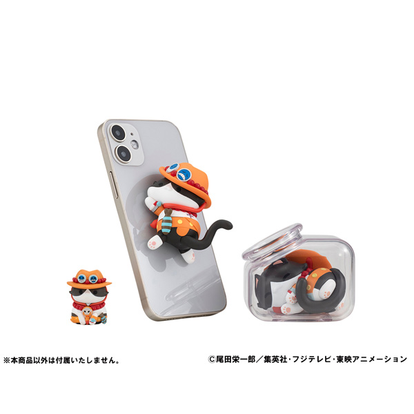 サムネイル画像12