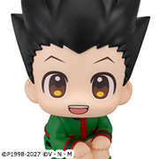 HUNTER×HUNTER Gon Freecss