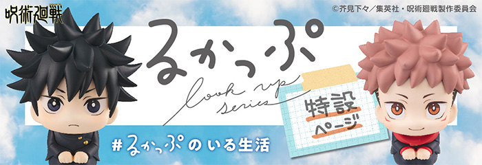 Lookup Special Page